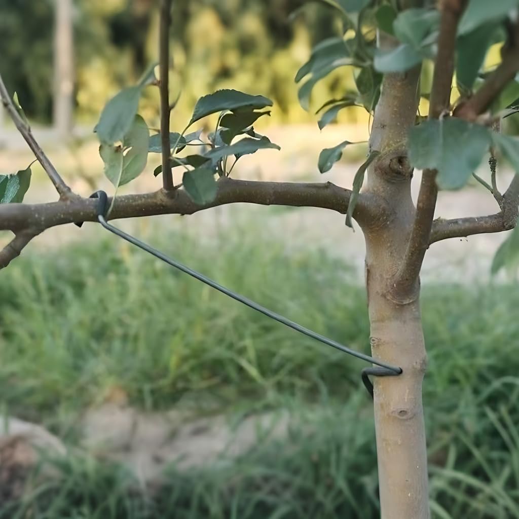Lot de 10 écarteurs de branches d'arbre fruitier, extracteur de branches de 35,6 cm, nouvel épandeur de branches de fruits en plastique enveloppé de fil de fer qui n'endommage pas les branches