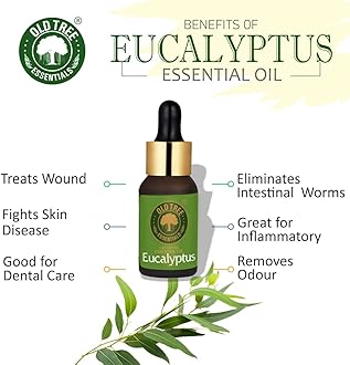 Old Tree Eucalyptus Essential Oil, 15Ml