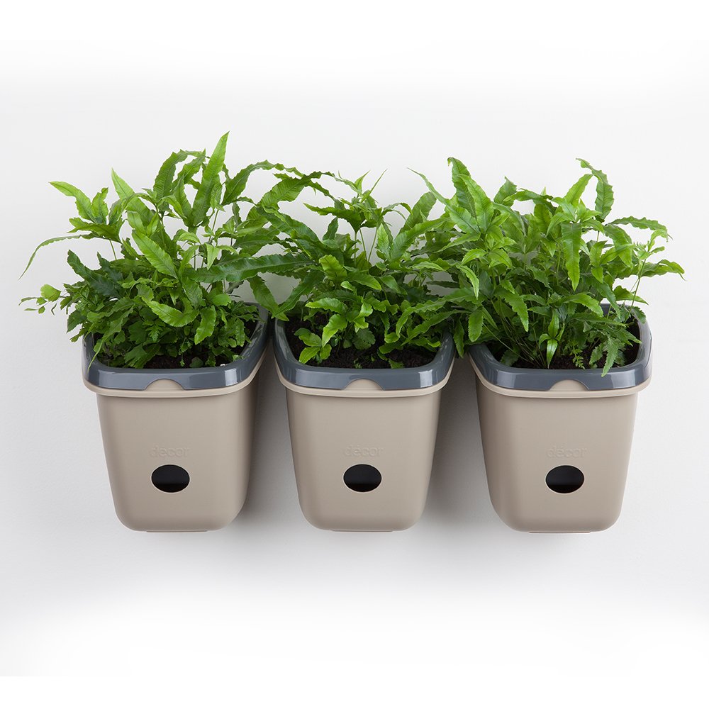 See full amazon price history chart for Décor Store Plastic Plant Pots - 3 Piece. Décor Store Plastic Plant Pots - 3 Piece. (B07DQWGRSQ) Amazon Price History, Amazon Price Tracker
