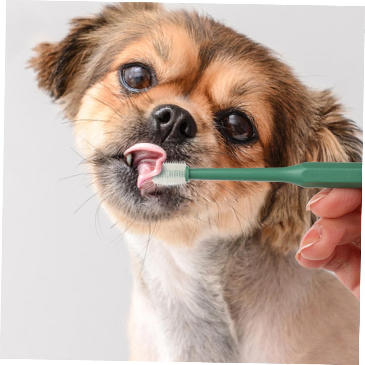 HANABASS Pet Oral Health Puppy Toothbrush Kitten Oral Cavity Cleaner Dog Health Supplies TPE Brush