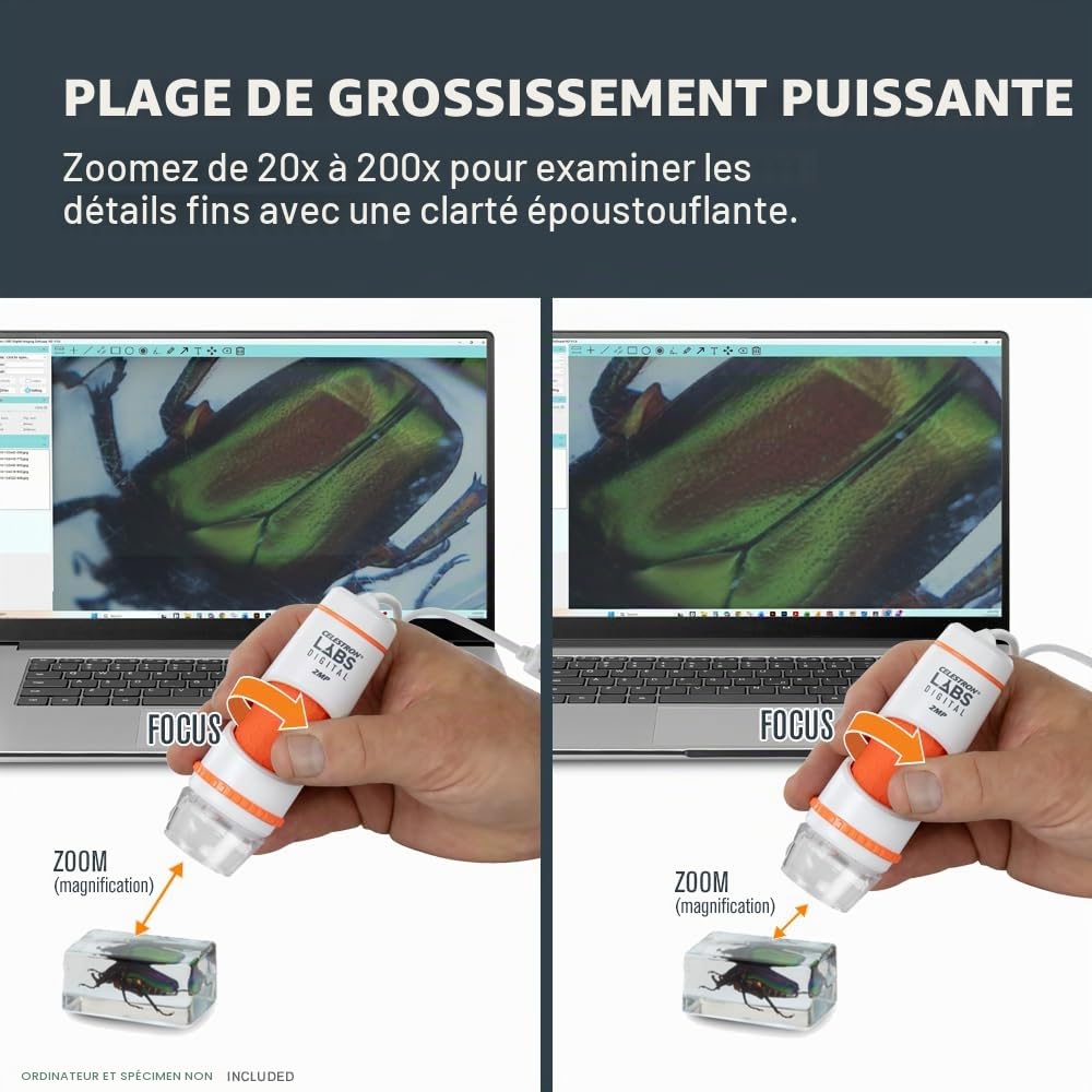 Celestron Deluxe 44302-C Microscope numérique portatif, Gris