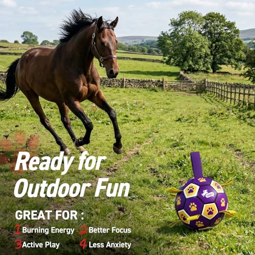 Image of QDAN Extra Large Dog Toy Soccer Ball, Durable Dog Balls with Straps, 9 Inch | Herding Ball for Dogs Large, Interactive Dog Toys for Tug of War, Outside Water Toy, Training Soccer Balls >90 lbs Dogs
