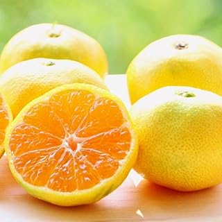 ［先行予約］小玉みかん 極早生 箱込 2.5kg (内容量約 2.3kg) 2Sサイズ以下 秀品 優品 混合 有田みかん 和歌山県産 ［みかんの会］