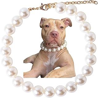 Pearl Collar Beaded Dog Collar Necklace Coloful Beads Adjustable Rhinestone Jewelry Pet Pearl Collar