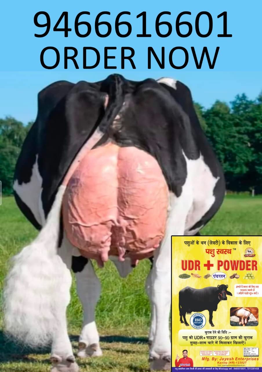 UDR + Powder - A Natural Herbs Formula for The Development/Increase Size of The Udder (Levity) of Cow and Buffalo (1 KG