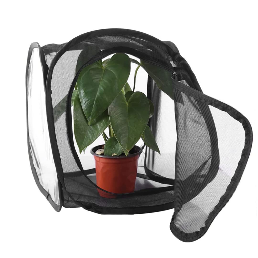Gabbia di Farfalla Pieghevole, Insetto di Bastone 1.8x11.8x11.8 Pollice Trasparente Con Cerniera E Maniglia, Habitat Portatile Per Ciniglia e Farfalla