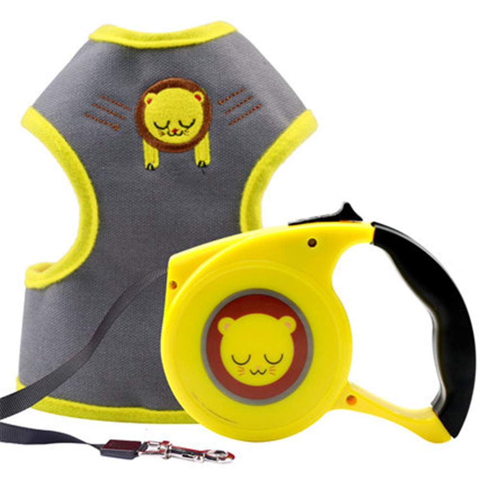 Corde de traction automatique rétractable pour Teddy et petit chien