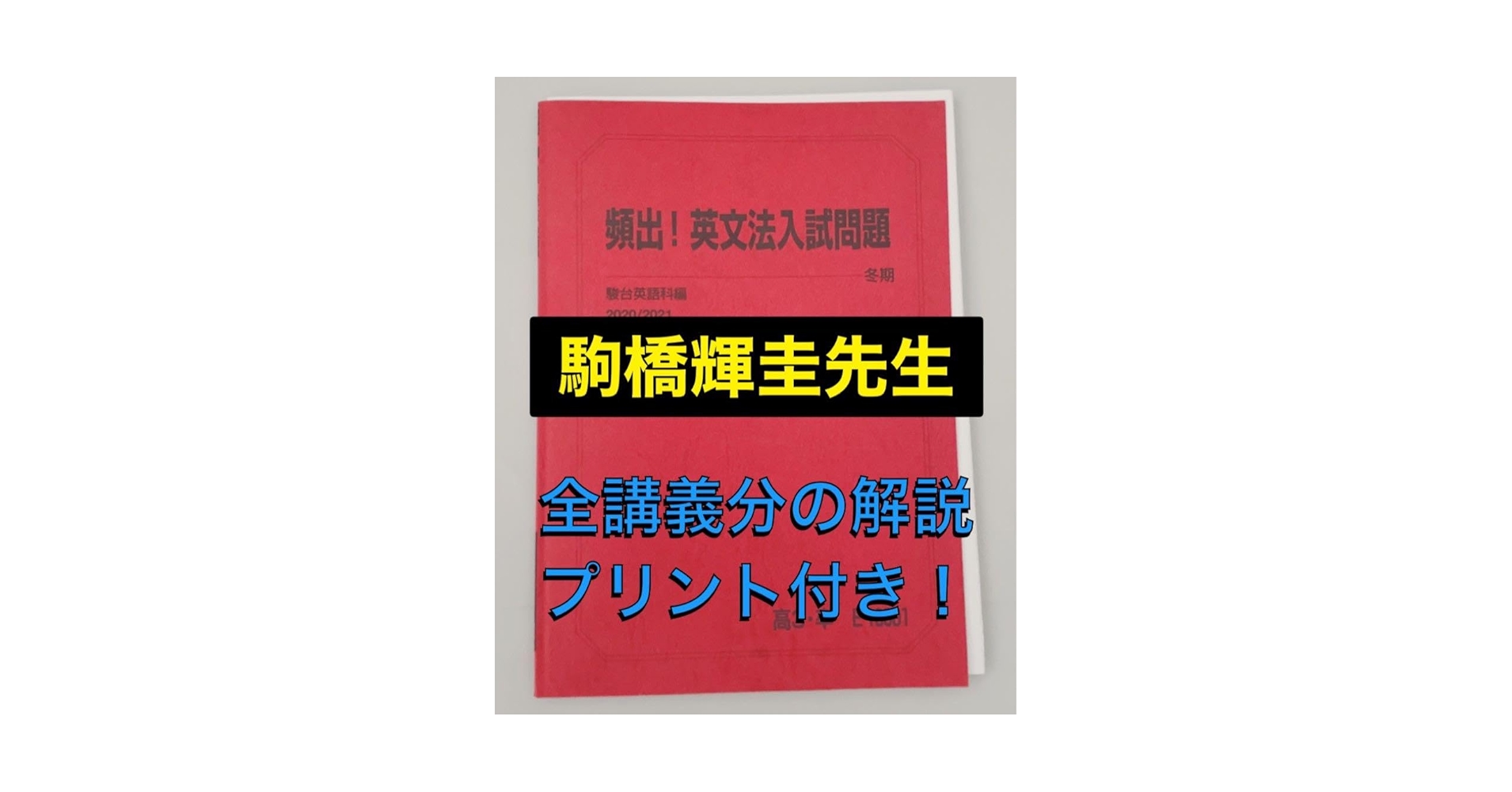 駿台 英語 頻出！英文法入試問題 テキスト 2024 夏期 009m0D 駿台 英語 頻出！英文法入試問題 テキスト 2024 夏期 009m0D
