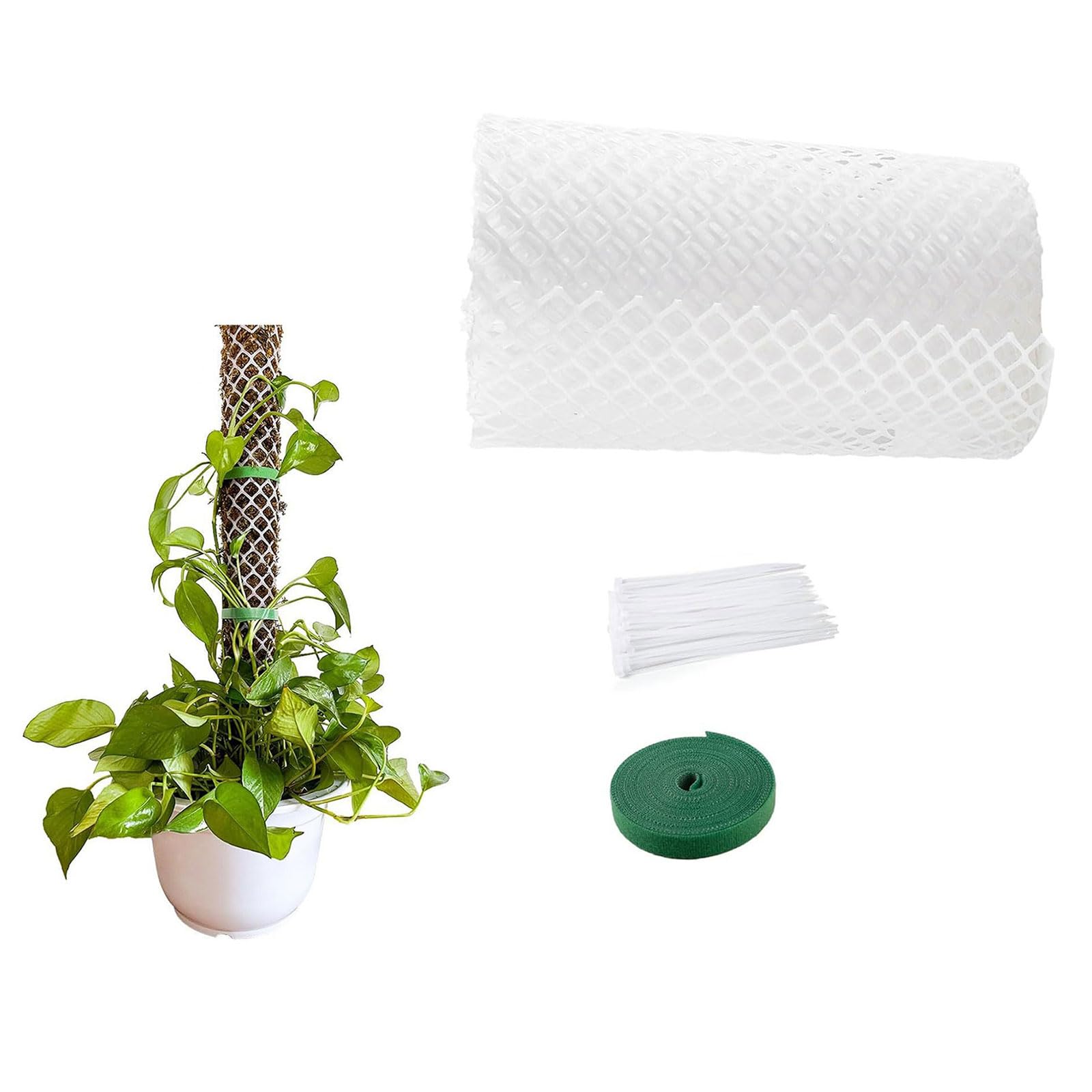 Kit de bâtons de mousse en plastique pour plantes Monstera, ruban de fixation pour plantes d'intérieur et de jardin, sphaigne en plastique