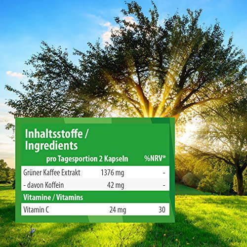 Grüner Kaffee Extrakt von MeinVita – 1376 mg Tagesdosis in veganen Kapseln