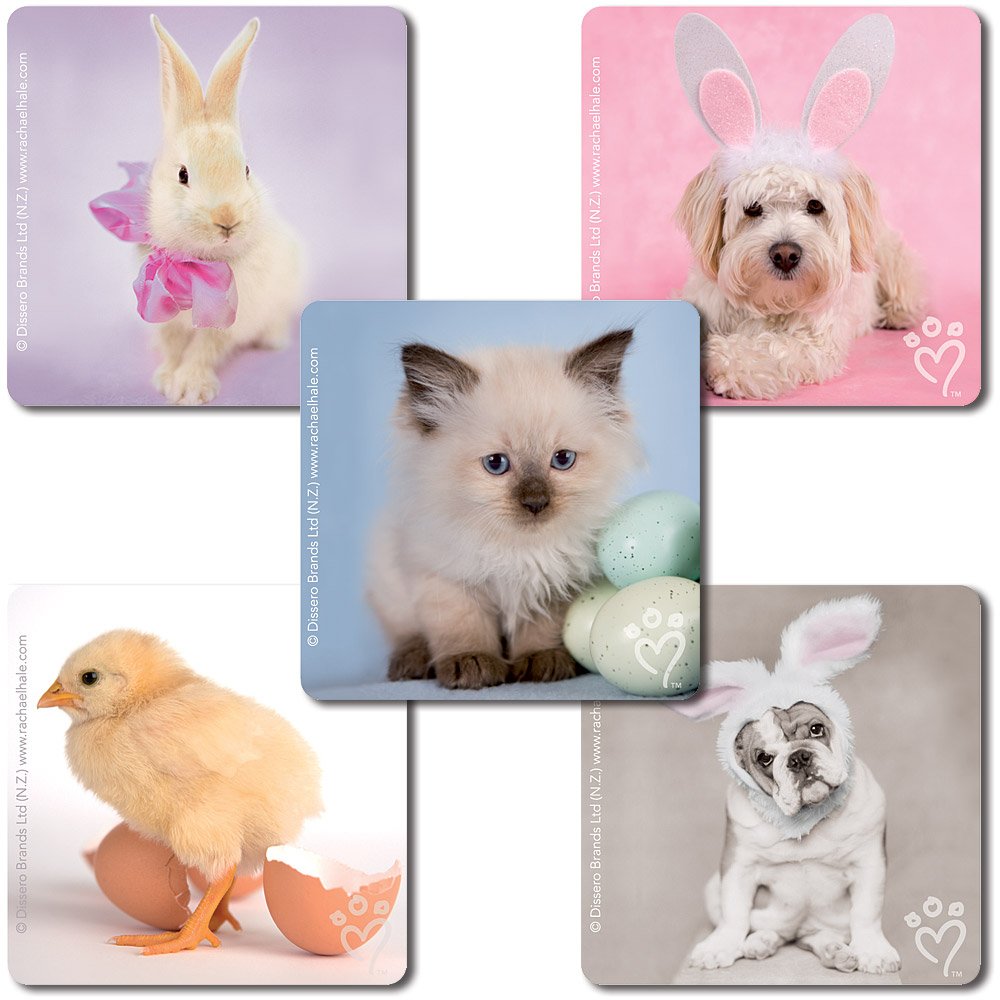 Rachael Hale Spring Stickers - 100 Per Pack