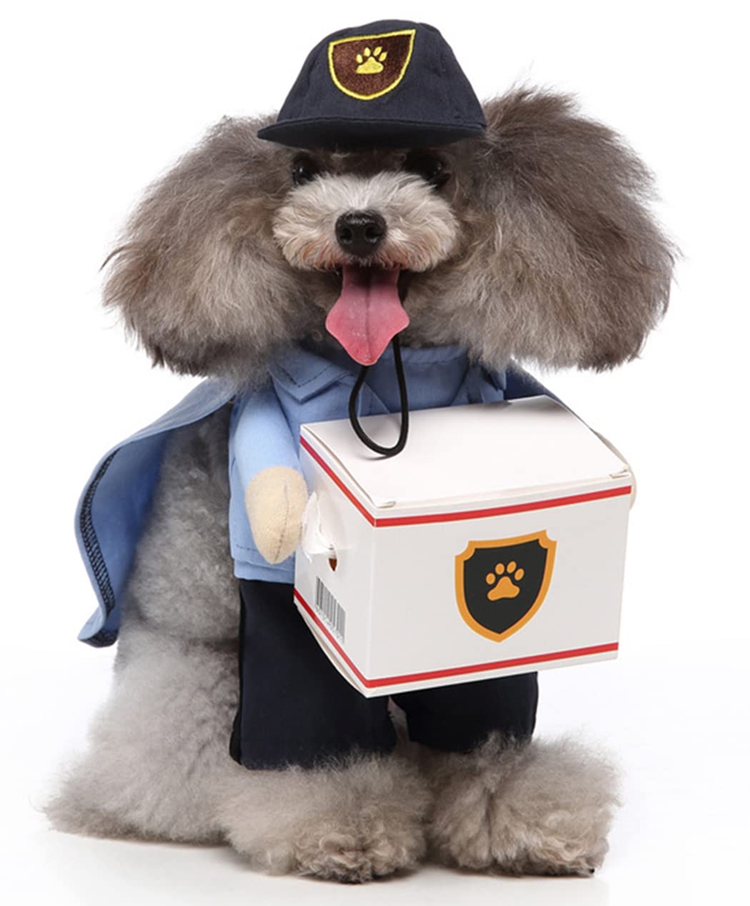 Costume D'Halloween Pour Chien - Cape Amusante Pour Petit Et Moyen Chien - Idéal Fêtes Et Photos