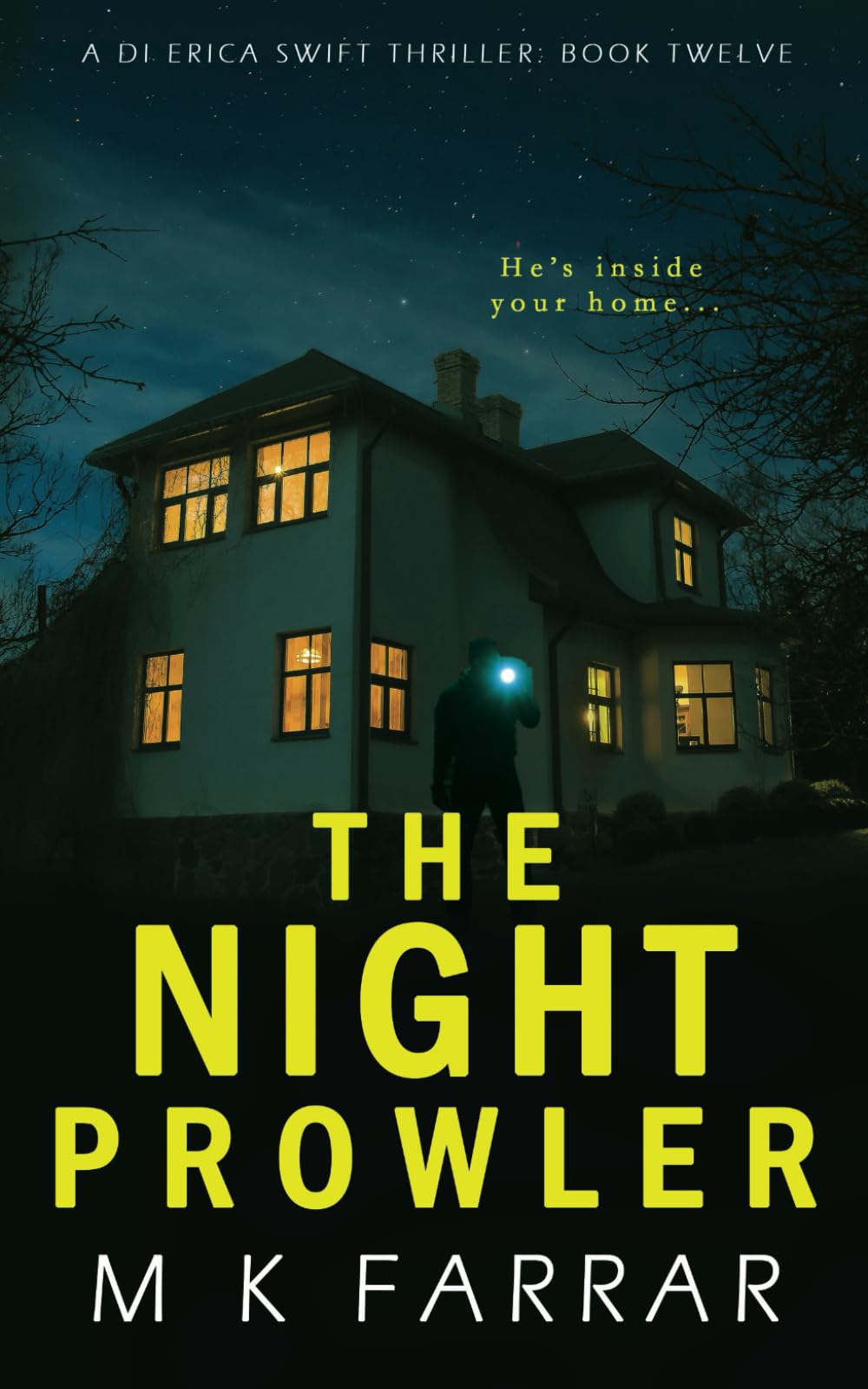 The Night Prowler (A DI Erica Swift Thriller)