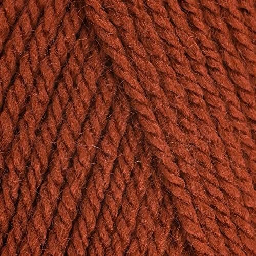 5 x 100g Stylecraft Special DK Double Knit Wool / Yarn Pack of Five (5 x 100g Spice 1711)