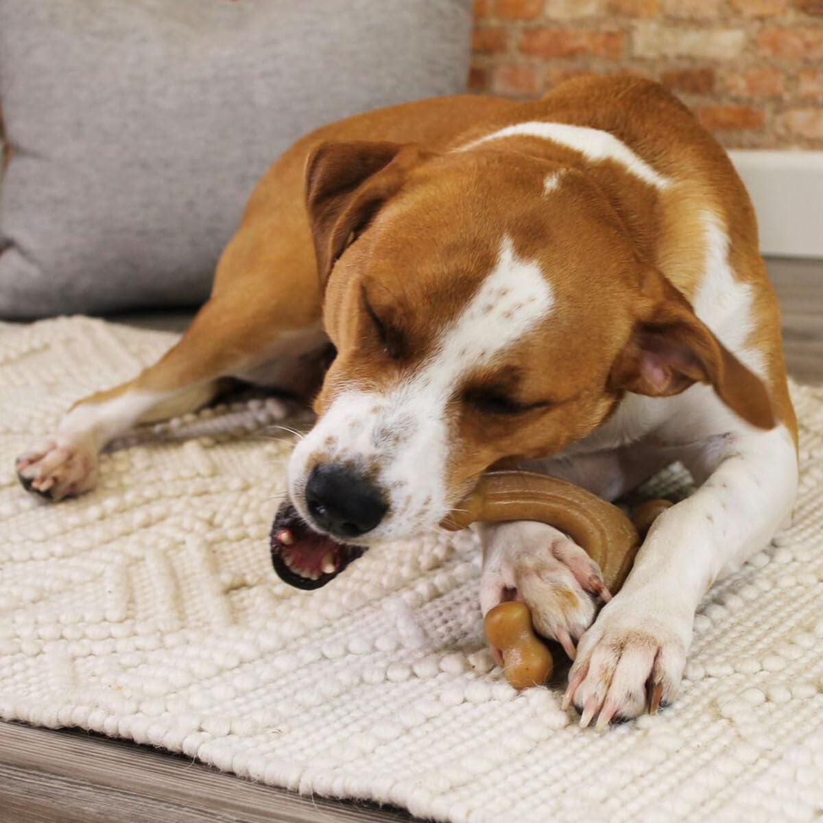 Nylabone Maximum Strength Tough Extreme Gourmet Wishbone zabawka do żucia dla psa, nasycona dodatkowym smakiem bekonu w całej kości, duża, dla psów 0-23 kg, brązowa