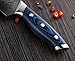 FANTECK Chef Knife 8 Inch Japanese Damascus Kitchen Knife, VG10 Super Steel 67 Layer High Carbon Professional Kitchen Chef Knives,Full Tang Ergonomic G10 Handle-with Sheath & Sharpener