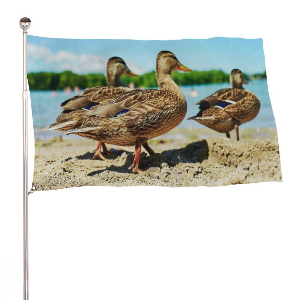 2x3ft (60x90cm) Decorative Garden Flag Yard Banner, Wild Ducks Walking on Beach Print, Welcome Yard Flag Lawn Hanging Home Decor