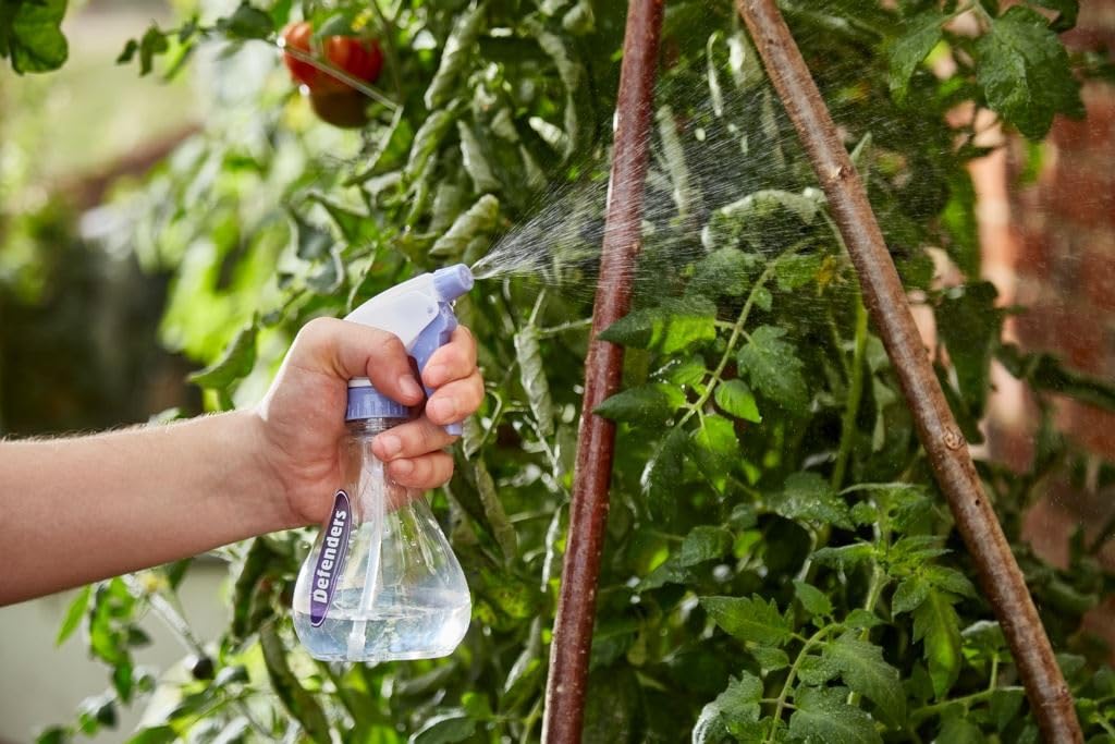 STV International Sprayer 330ML STV087