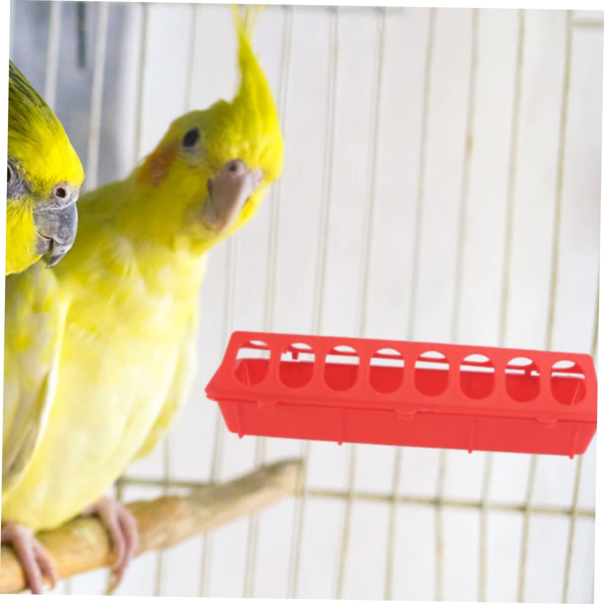 HANABASS Mangiatoia per Piccioni in Plastica 4 Pezzi Mangiatoia Professionale per Canarini e Pappagallini Facile da Pulire per Alimentazione Quotidiana