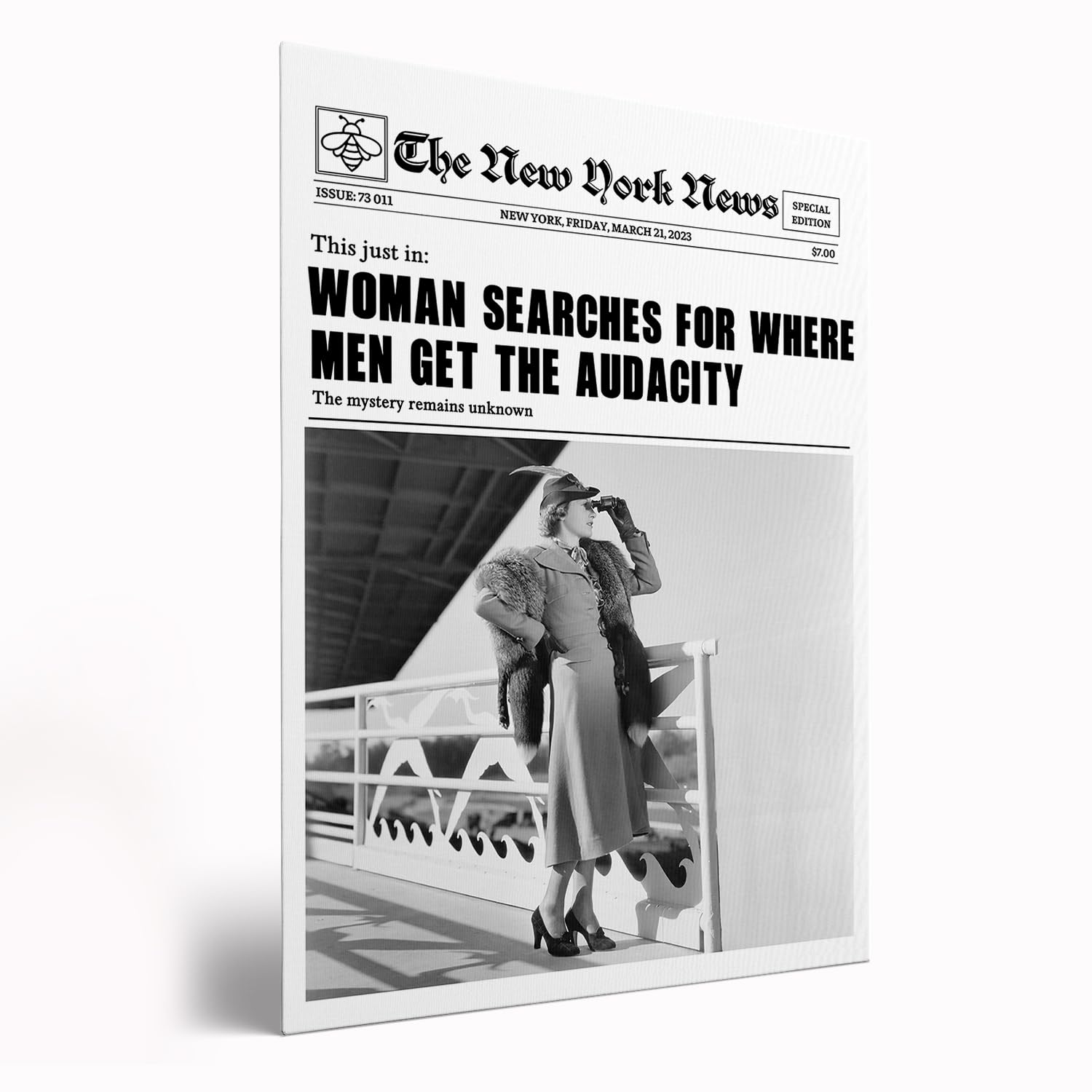 Amazon.com: Funny Wall Art Decor,Women Searches For the Audacity