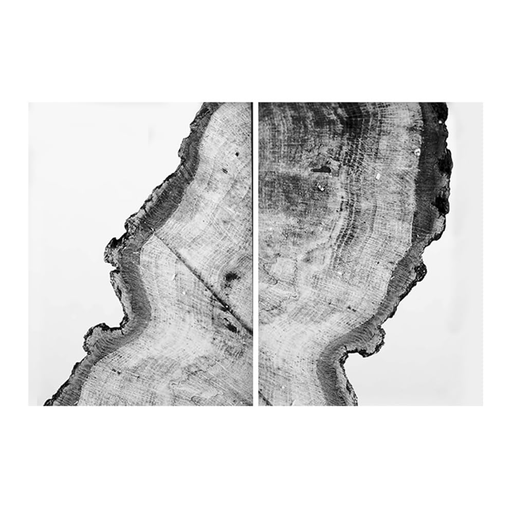 WUHBCZ Art Decor,Tree Rings Posters and Prints Black White Wood Canvas Prints Wall Art Picture Nordic Bedroom Kitchen Home Decor Decoration Painting-30 * 50cm*2PCS (No Frame)