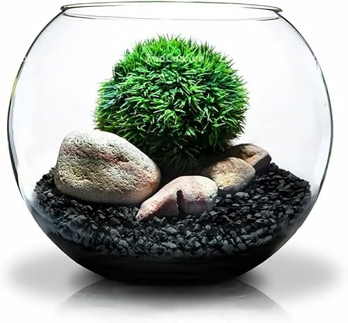 Horticultural Holzkohle für Pflanzen 1L von GOTVUGE, rein natürliche Hartholzkohle, Aktivkohle zur Bodenverbesserung, für Orchideen, Terrarien und Gartenarbeit