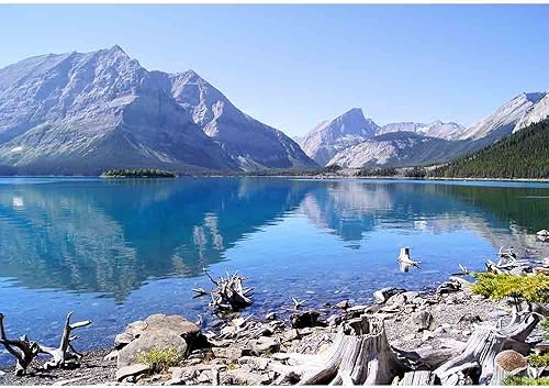 Miniatura 10 de wall26. Papel para empapelar autoadhesivo, grande, serie de mural., WMR-WP-X-C409-66x24x4