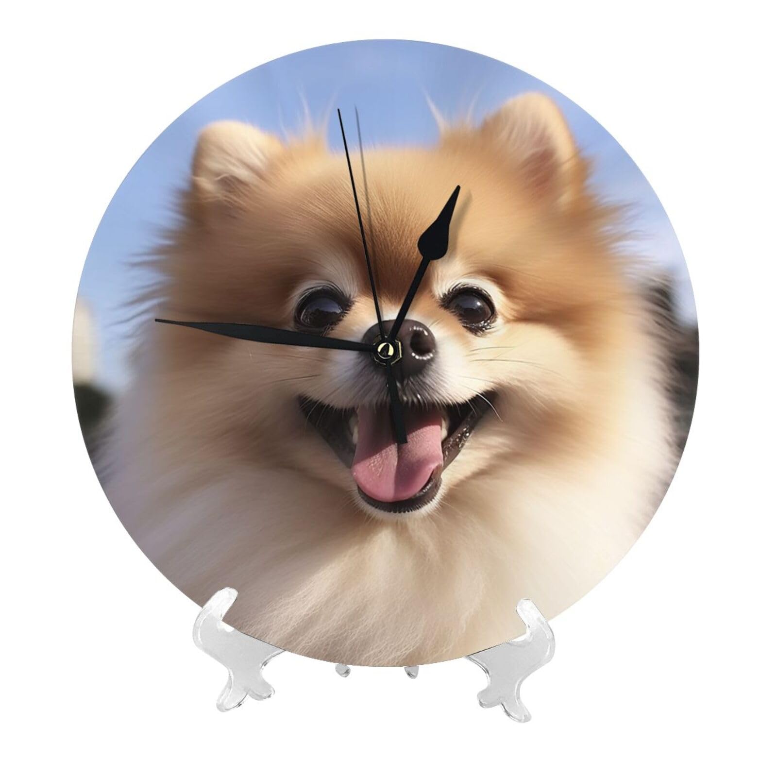 DWVTSLH Happy Pomeranian Wall Clock 10 Inch Silent Non-Ticking Modern Clocks Battery Operated - Decorative Wall Clocks for Bedroom Living Room Kitchen Office Wall Decor Gift Idea