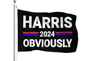 Biden-Harris 2024 Flag - Trippy Tapestry