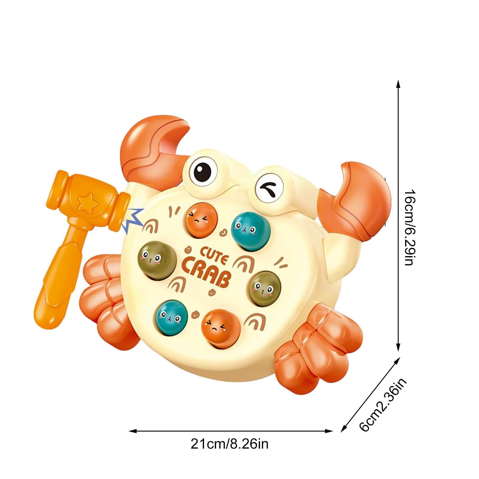 Tape-Tape Tortue | La Jouetterie
