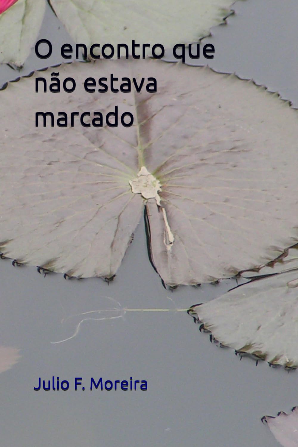 O encontro que não estava marcado