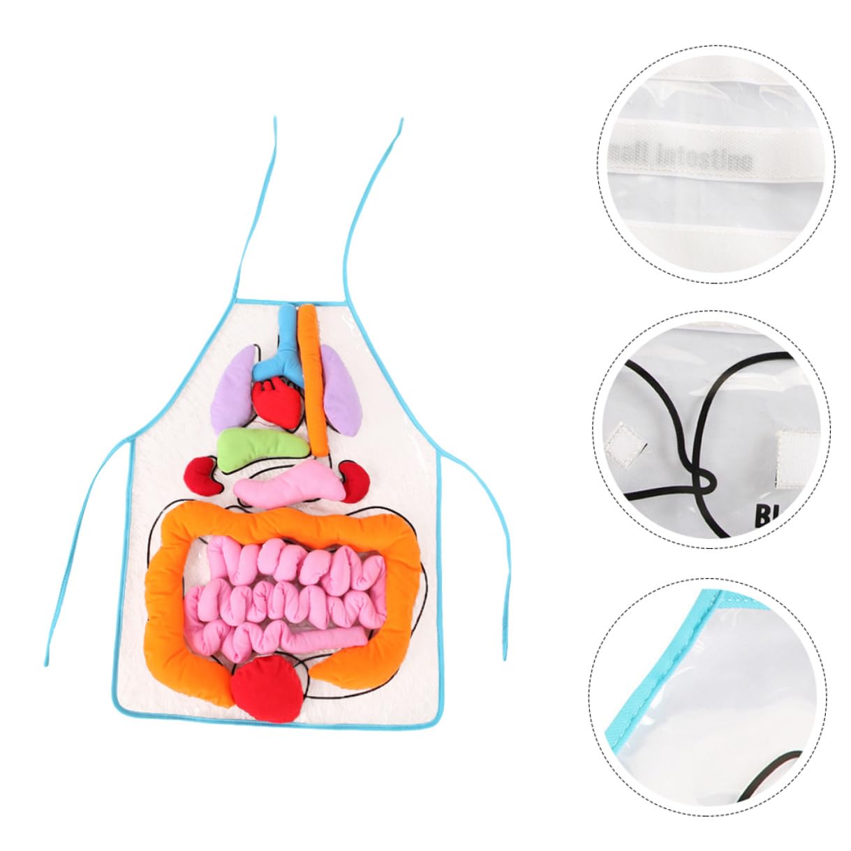 Alasum Delantal 3D Órganos del Cuerpo para Niños, Juguete Cognitivo de Anatomía Corporal, Herramienta Didáctica para Aprendizaje Temprano en Casa y Preescolar
