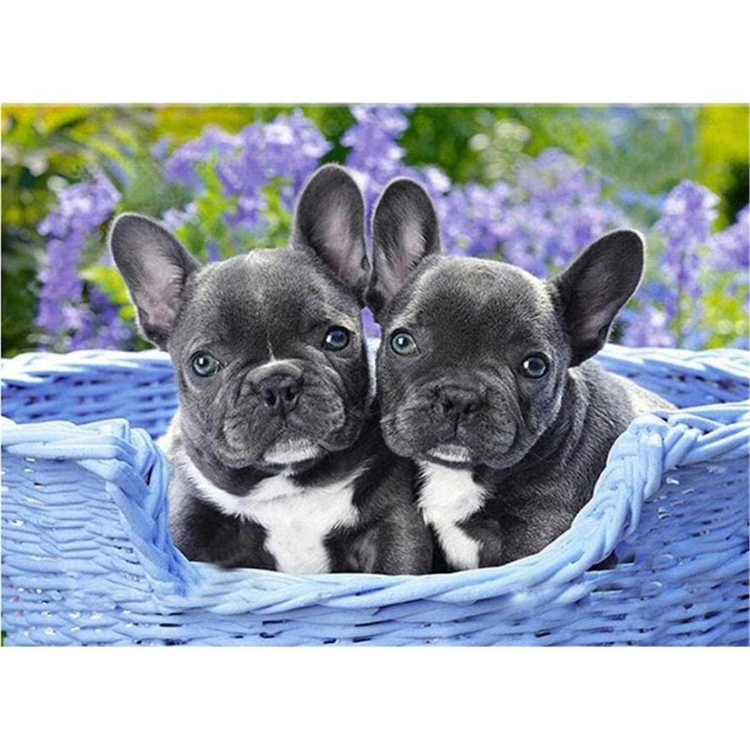 Sanzez Hrim049 Diy 5D Diamond Painting Kits Full Drill French Bulldog Rhinestone Diamond Embroidery Diamond Arts Crafts 30X40cm
