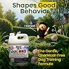 Natures MACE Dog Mace, Dog Repellent for Yard, Potty Training Tool Spray, Indoor & Outdoor, Pee Deterrent, Safe Around Kids, Pets, Garden & Plants, 1 Gallon Concentrate, Treats 48,000 Sq. Ft.
