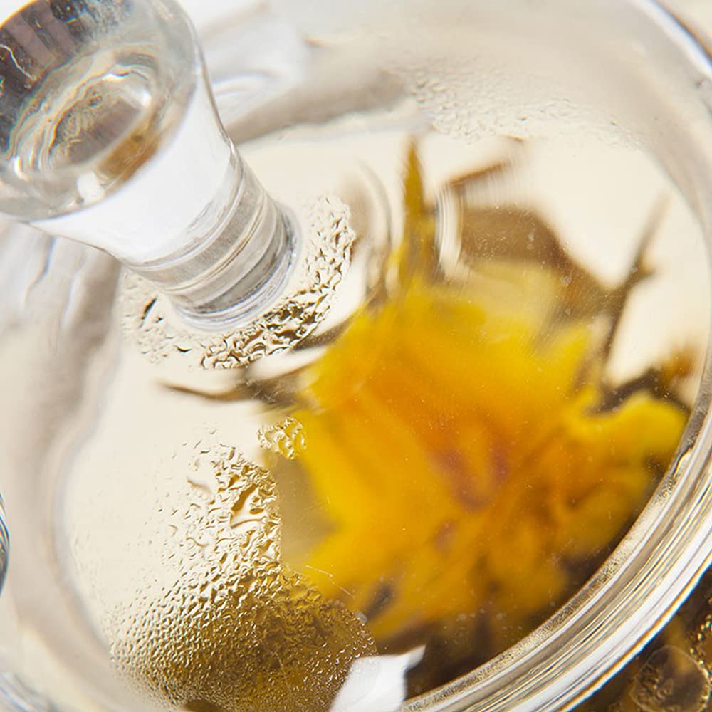 TEA SOUL Szklany czajniczek z wylewką ze stali nierdzewnej, przezroczysty, 500 ml