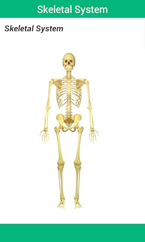 Biology & Human Anatomy