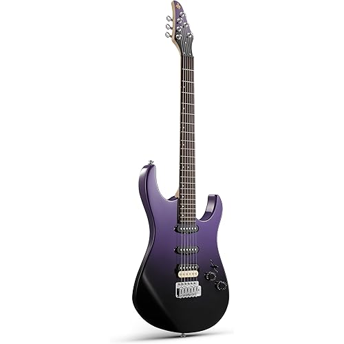 Donner DMT-66 39 Inch Full Size Electric Guitar for Beginner, Starter Electric Guitar Kit with Bag, Purplish Black