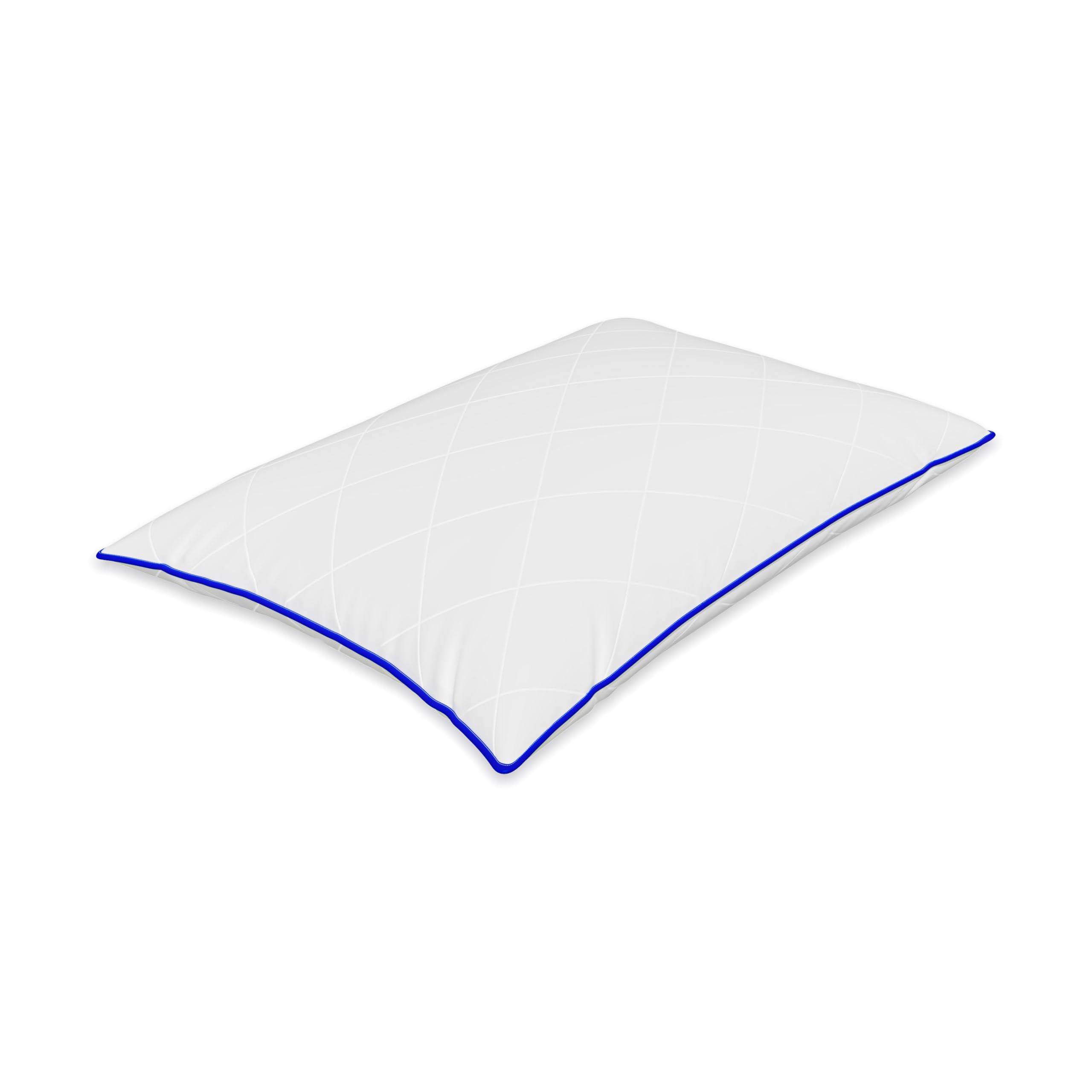 Oreiller 50 x 50 cm, en microfibre douce, pour personnes allergiques, respirant, lavable et certifié Oeko-TEX, pour enfants et adultes