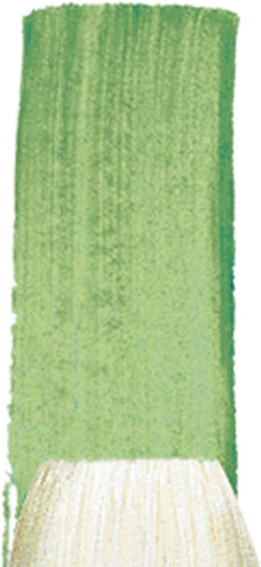 Winsor & Newton Winton Hog Bristle Brush Flat, 12, Green