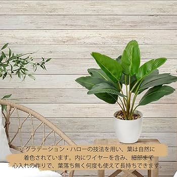 Amazon｜Villa Como フェイクグリーン インテリアグリーン 人工