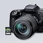 PNY 256GB EliteX-PRO60 UHS-II SDXC Memory Card - R280MB/s W180MB/s, U3, V60, 4K UHD, Full HD, UHS-II for Professional Photographers & Content Creators, DSLR Mirrorless Cameras, Advanced Video Cameras