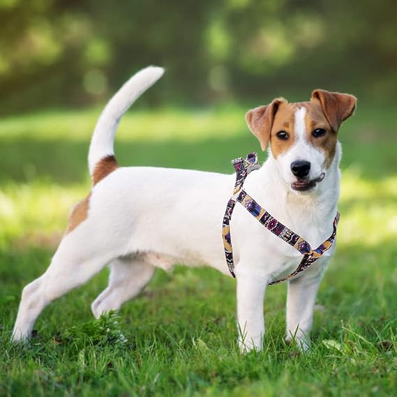 Dog Harness and Leash Set, No Pull Step in Basic Halter Harness for Medium, Small Breed Dogs Cats Pixel Purple S