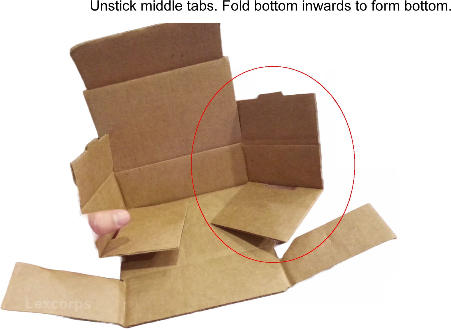 https://m.media-amazon.com/images/I/61BgLPU5ayL.jpg