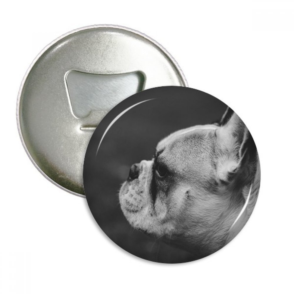 Décapsuleur aimanté chien gris 3pcs : badge frigo argenté rond pour amoureux des animaux