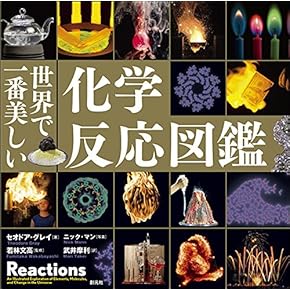 Amazon.co.jp: 無機化学 - 科学・テクノロジー: 本