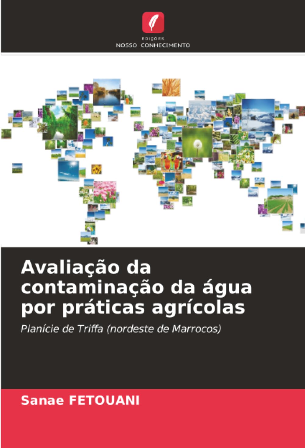 Avaliação da contaminação da água por práticas agrícolas: Planície de Triffa (nordeste de Marrocos)