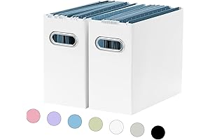 2 Packs File Organizer, Paper Organizer Storage Box for Letter Size, Hanging...