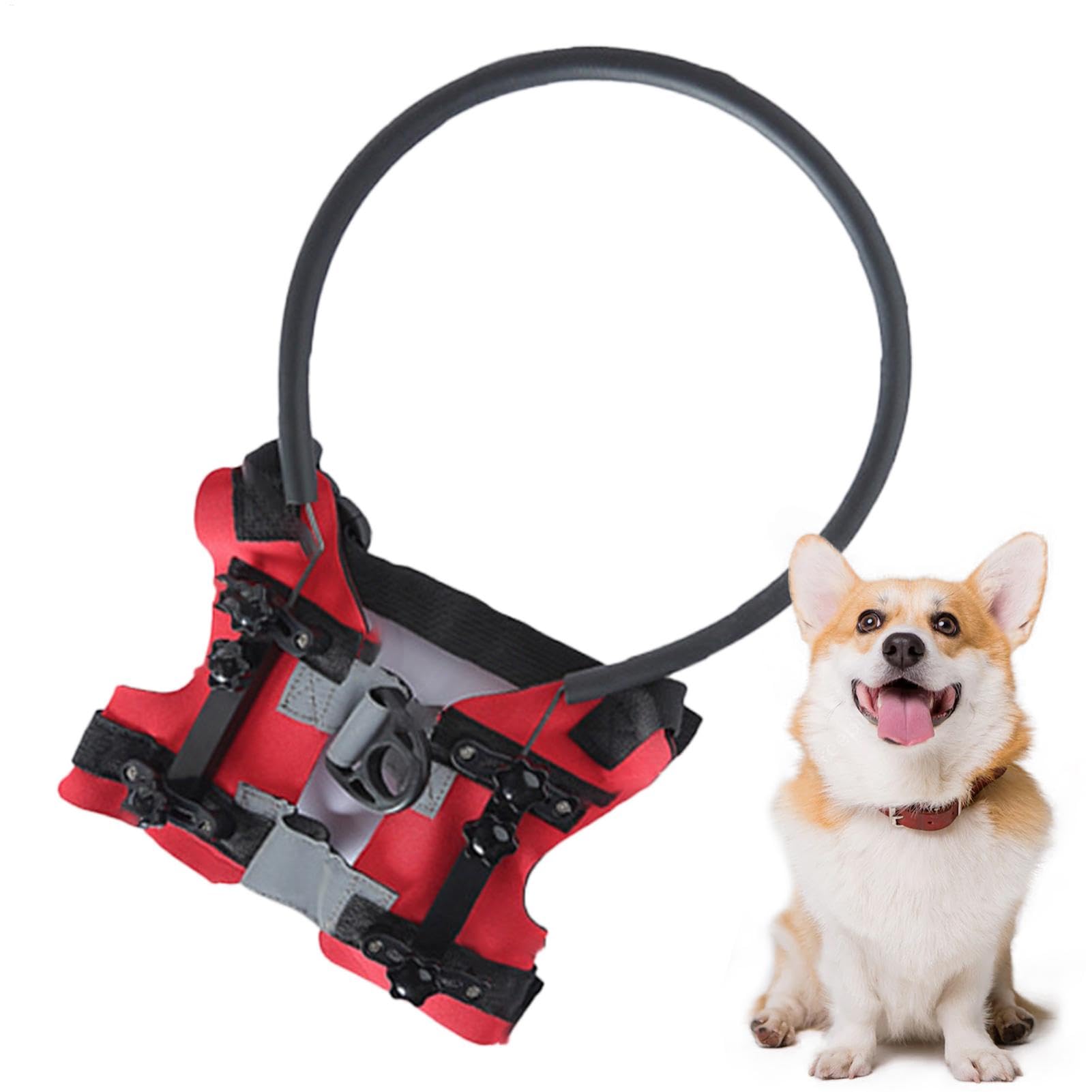 Faisceau de câbles pare-chocs réglable avec halo pour chiens aveugles et malvoyants