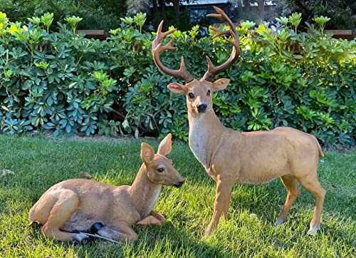 Xtapan Resin Female Deer & Standing Male Deer Figurine Animals Statue Couple Deer Sculpture Home Office Restaurant Decoration Garden Art Yard Ornament Lawn Outdoor Patio Decor Christmas Decor thumb #2