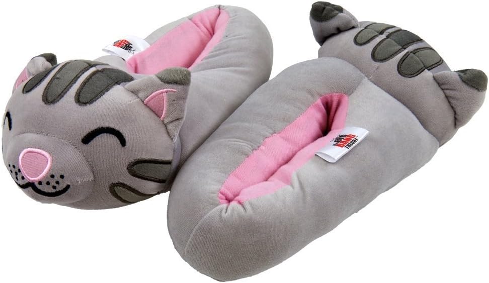 Big Bang Theory Soft Kitty Womens Slippers
